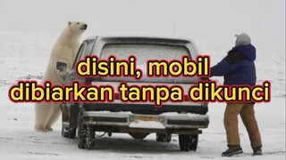 di wilayah ini, mobil menjadi penyelamat nyawa