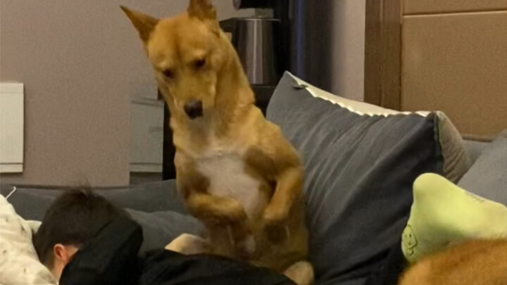 You Cai: I hate kids who have no sense of boundaries.