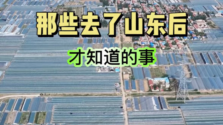 Những điều chỉ khi đến Sơn Đông mới biết