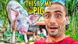 Buying My First Pig From A Local Man! (Native Provincial Pig)