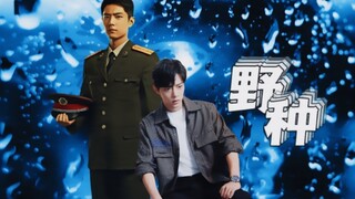 肖战水仙｜双顾◎野种 顾一野X顾魏 第一集