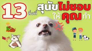 13 พฤติกรรมของมนุษย์ที่น้องหมาไม่ชอบให้คุณทำ #ECOBOK