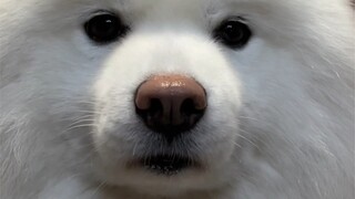 ทุกคนสบายใจได้เลยว่าจะมีลูก ลูกของฉันที่คลอดออกมาโตแล้วนะ