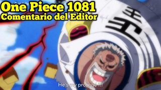 Comentario del Editor para el Capitulo 1081 de One Piece