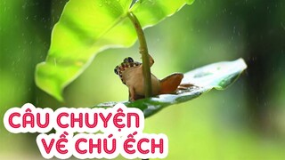 Một phút cho bạn: Chuyện đàn ếch và sức mạnh của lời nói