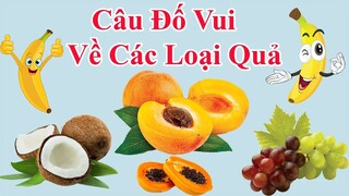 Câu đố vui về các loại quả | PingTV