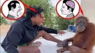 【tiktok难绷抽象记录#117】