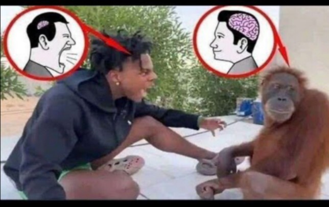 【tiktok难绷抽象记录#117】