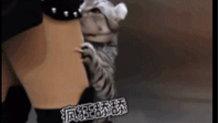 دليل الرسومات السخيفة للبشر (السابع عشر)