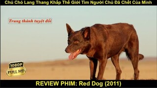 Chú Chó Lang Thang Khắp Thế Giới Tìm Người Chủ Đã Chết Của Mình | REVIEW PHIM