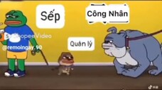 Đi làm ở công Ty kiểu.