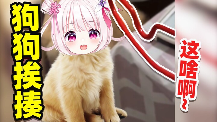 No matter how cute a puppy is, it can still get beaten!!!