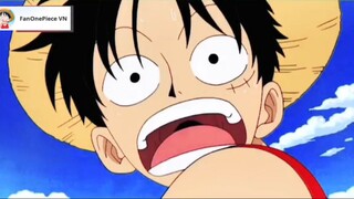 Anh trai của Luffy... |#one_piece #vua_hai_tac