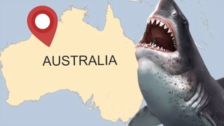 Where could the Megalodon REALLY be found?