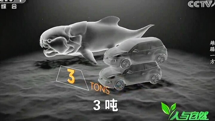 Sau khi mô hình phục dựng chính thống ra đời, kích thước thực tế của cá Dunkleosteus dường như không
