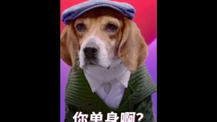 What business is it of yours that I’m single!!!