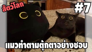 Ep.7 สัตว์โลกกวนตีน SS2 - [ พากย์นรก ] | easy boy