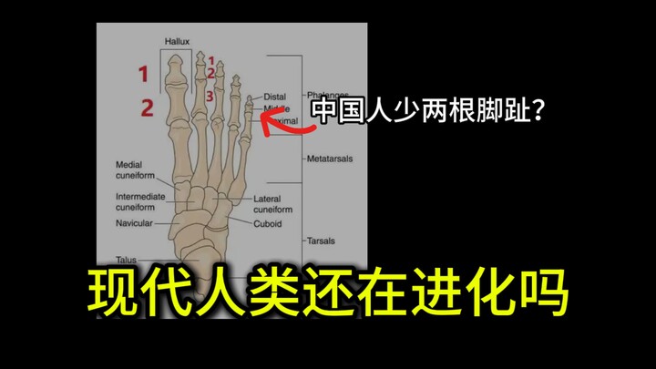 Cơ thể người ngày càng lạnh đi