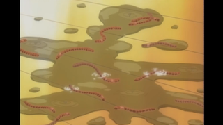 <Shadows of Childhood> Animation Chap 46: Bắt nạt một cô gái bằng giun đất, nhưng con quái vật đã tr