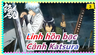 [Linh hồn bạc] [Cảnh Katsura 46] Tập 308-316: Gặp lại Shinsengumi_3