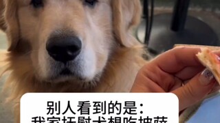 Anjing penenang: Tolong jangan sakiti dirimu sendiri