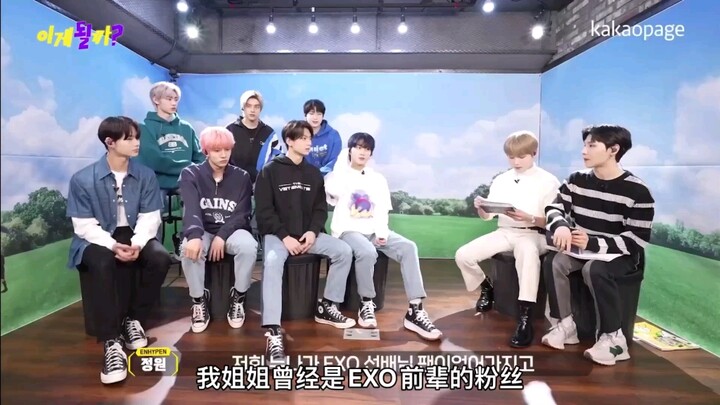 Khi chị gái là một cô nàng elf