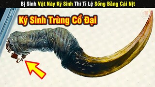 Review Phim Sinh Vật Ký Sinh Biến Vật Chủ Thành Quái Vật | Tóm Tắt Phim