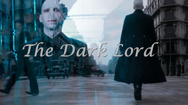 【HP|FB】【Voldemort|Grindelwald】The two Dark Lords sincerely invite you to join their organization|The