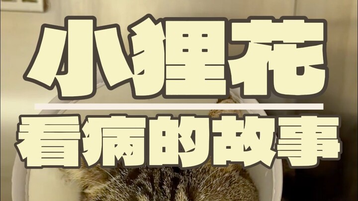 Get ready to enjoy the year’s biggest blockbuster!