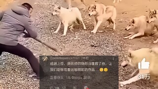 外网热议中国牧民被10只狼包围遭质疑，5000万人浏览，网友：摄影师会隐身吗？