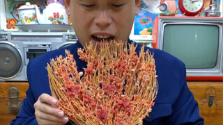 Liu Dajun, restoran favorit lama, benar-benar enak! Mie bunga dan irisan telur cabai buatannya sungg