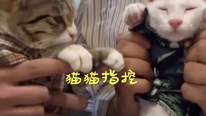 ฉันจะโดนความน่ารักทำให้สลบแล้ว🥹