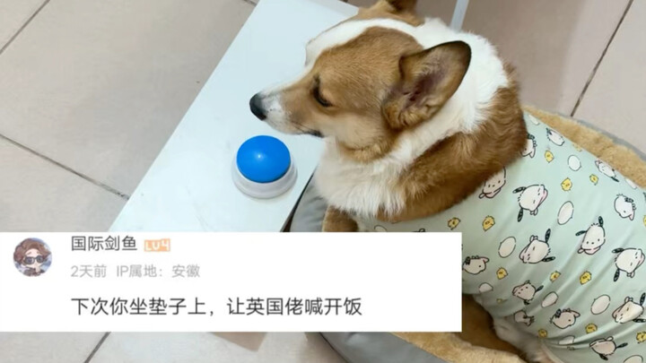 Anh chàng người Anh kêu ăn cơm, còn tôi thì cứ ngỡ mình là NPC.