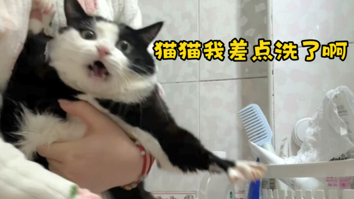 It almost cost the kitty its life—never stealing trash bags again!