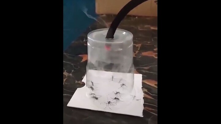 [Hài hước] <1001 cách để dạy dỗ đám muỗi đáng ghét>