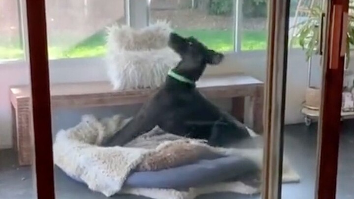 “لا، شيء غريب، سألقي نظرة أخرى.”