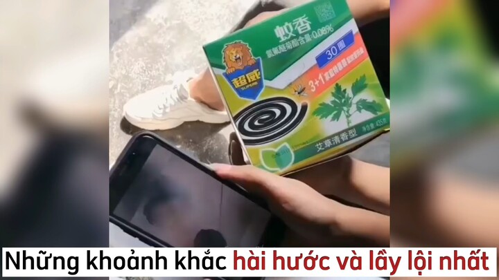 Những khoảnh khắc hài hước và lầy lội