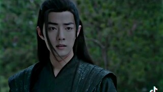 the untamed yizhan