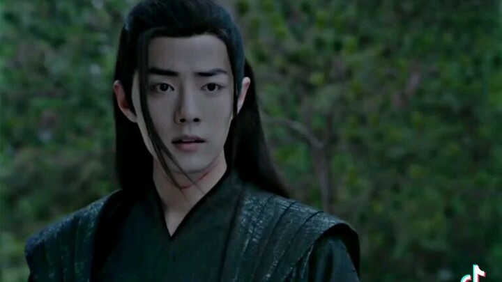 the untamed yizhan