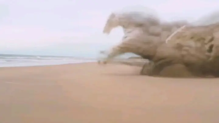 Look at other people's yellow sand horses, and then look at our fighting horses!