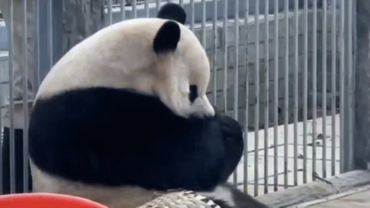 Has the ocean been secretly practicing “biting hands”? It’s getting more and more skilled!