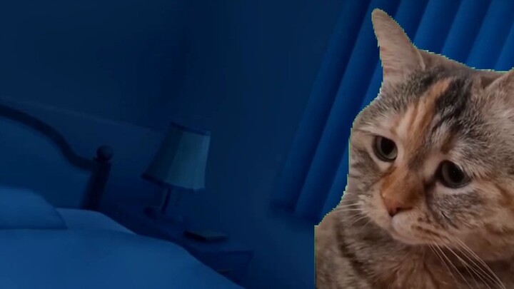 [Gundam OEM Daily S1E13] Customer: Can you sleep at this time? (Time Zone) | Cat meme