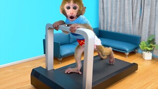 Monkey Baby Bon Bon Drives To The Pool And Make a farm for ducklings