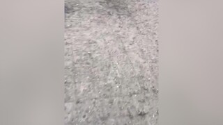 Chơi vậy ai chơi lại :)) Theo dõi  xem video cún yêu nha meo meocute yeumeo yeudongvat dethuong anuong cunyeu