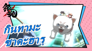 [กินทามะ] เดอะมูฟวี่ # ซาดะฮารุ กลับมาแล้ว, เรอูนียง โยโรซึยะ