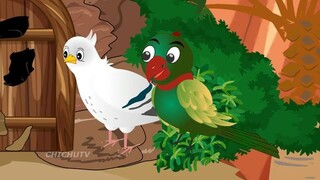 Rano Chidiya Wala Cartoon _ वाला कार्टून रानो _Tuni Achi Cartoon _ Hindi Kahani