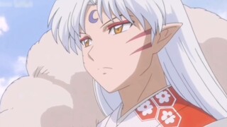 The beauty of Master Sesshomaru