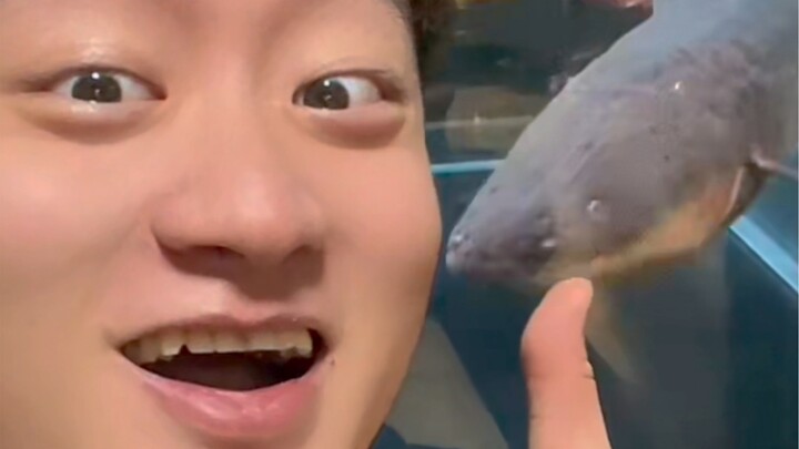 The fish with the strongest vitality is the electric eel!