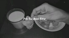 Camilan Pota Bee Ayam Bakar