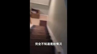 这就是为什么这个视频没有后续